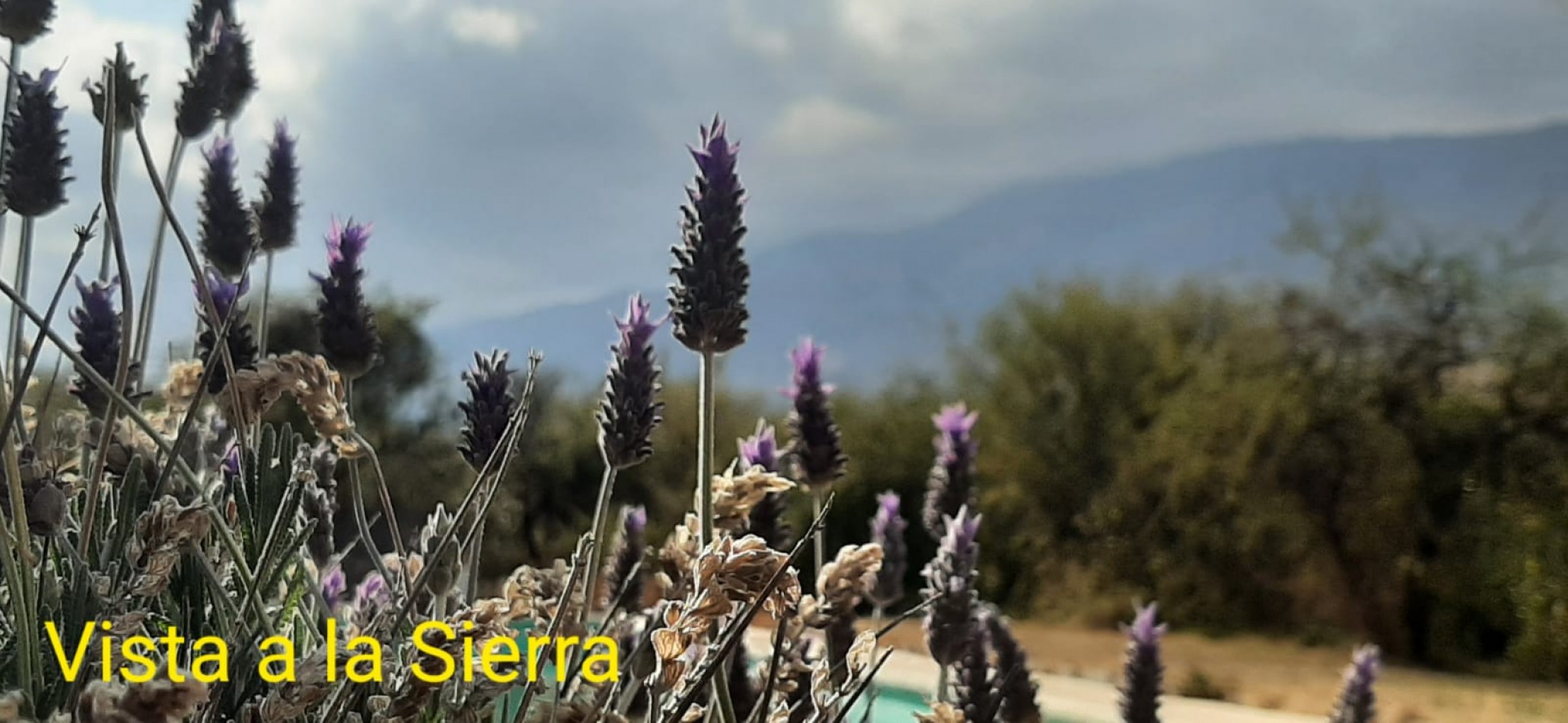 LOTE EN MERLO, SAN LUIS, A 20 CUADRAS DEL CENTRO