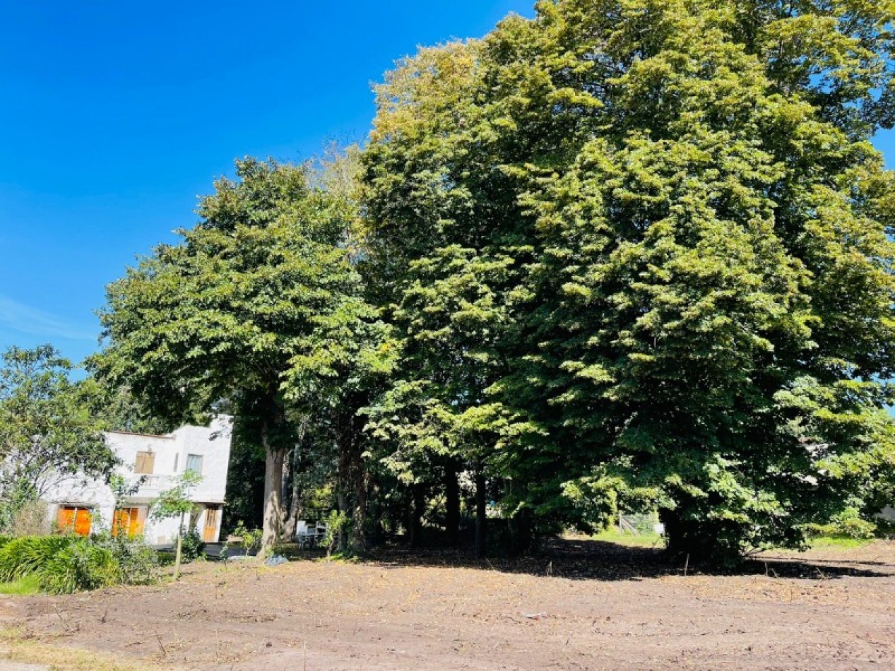 LOTE EN SIERRA DE LOS PADRES