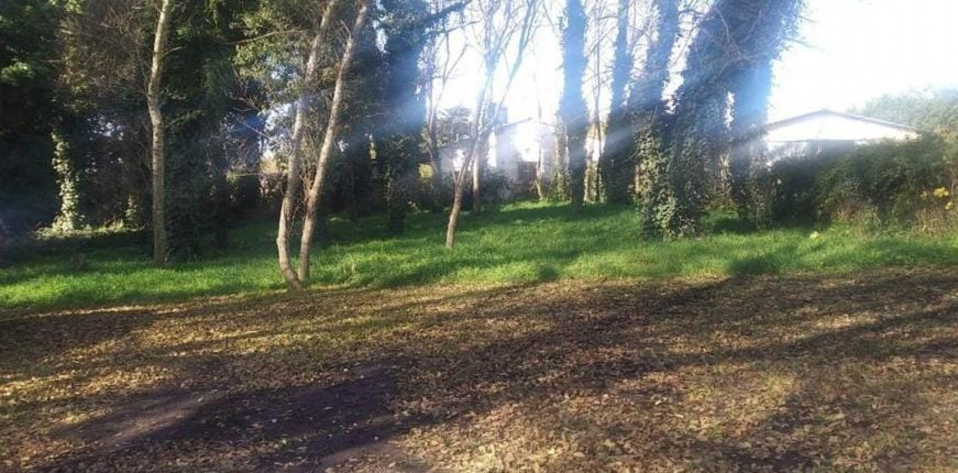 LOTE DE 740M2 EN EL BARRIO COLINA ALEGRE