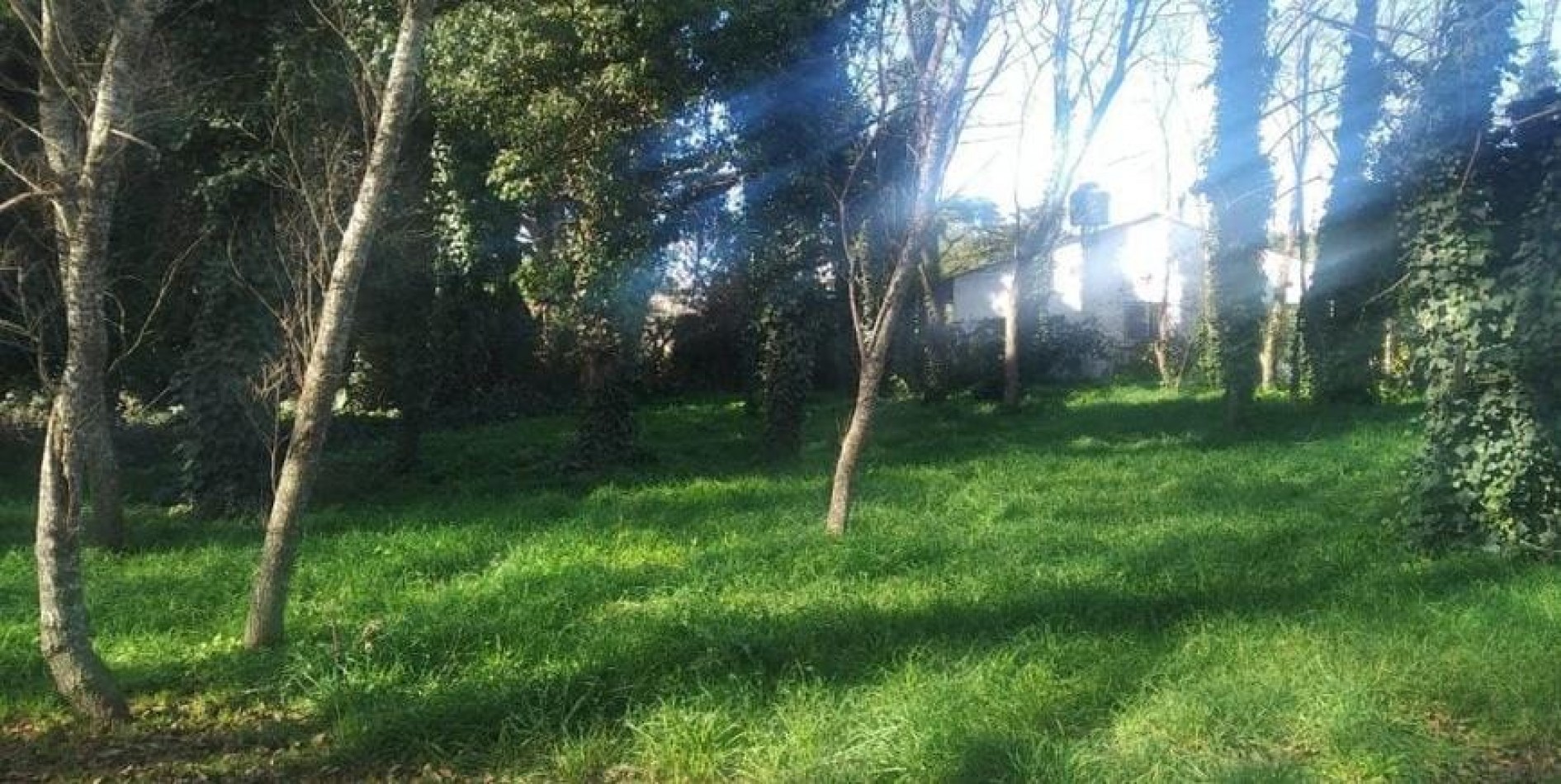 LOTE DE 740M2 EN EL BARRIO COLINA ALEGRE