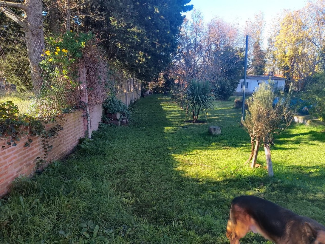 LOTE DE 2 HECTAREAS CON 2 GALPONES Y 3 CASAS EN LA GLORIA DE LA PELEGRINA