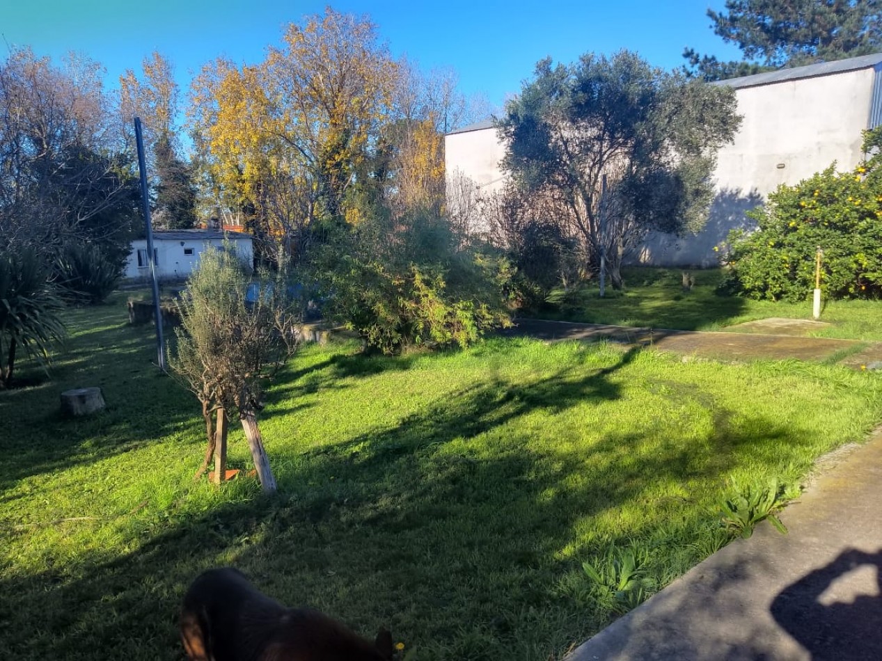 LOTE DE 2 HECTAREAS CON 2 GALPONES Y 3 CASAS EN LA GLORIA DE LA PELEGRINA