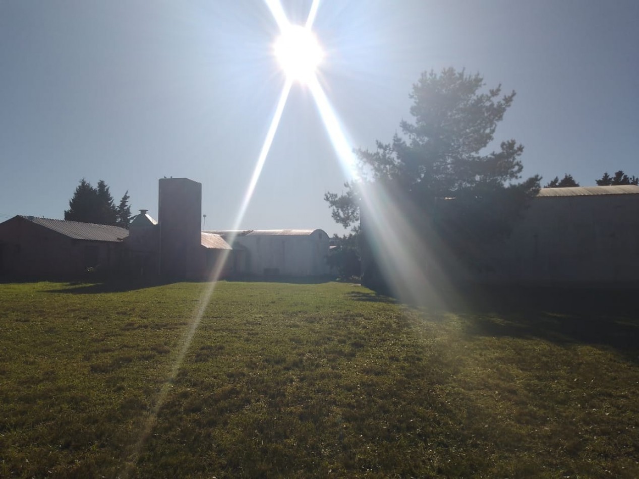 LOTE DE 2 HECTAREAS CON 2 GALPONES Y 3 CASAS EN LA GLORIA DE LA PELEGRINA