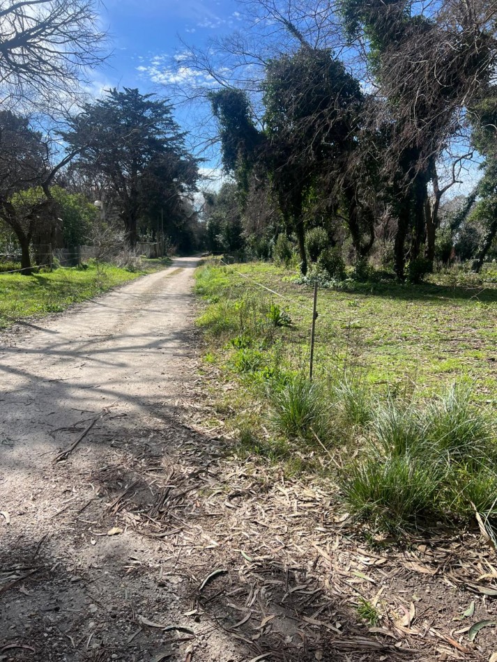 LOTE DE 739 M2 EN EL BARRIO COLINA ALEGRE VENDE O PERMUTA
