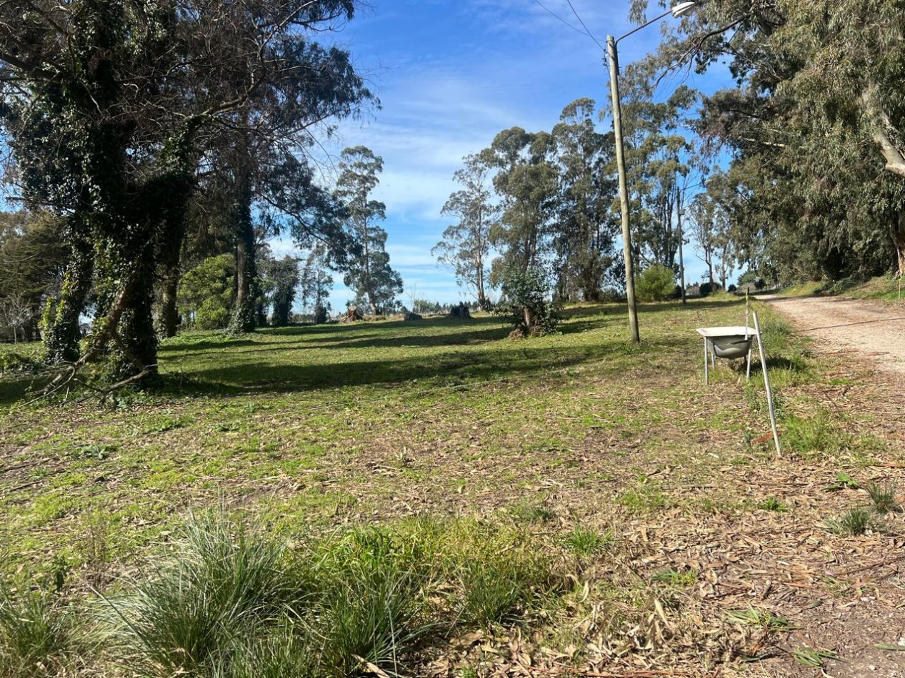 LOTE DE 739 M2 EN EL BARRIO COLINA ALEGRE VENDE O PERMUTA
