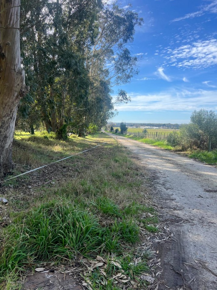 LOTE DE 739 M2 EN EL BARRIO COLINA ALEGRE VENDE O PERMUTA