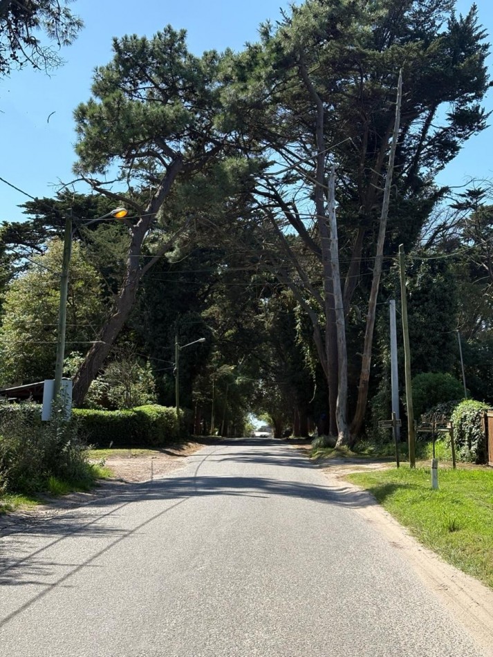 CASA TIPO CABAÑA DE 2 AMB CON PARQUE MAS DEPARTAMENTO EN BOSQUE PERALTA RAMOS. APTO CREDITO.