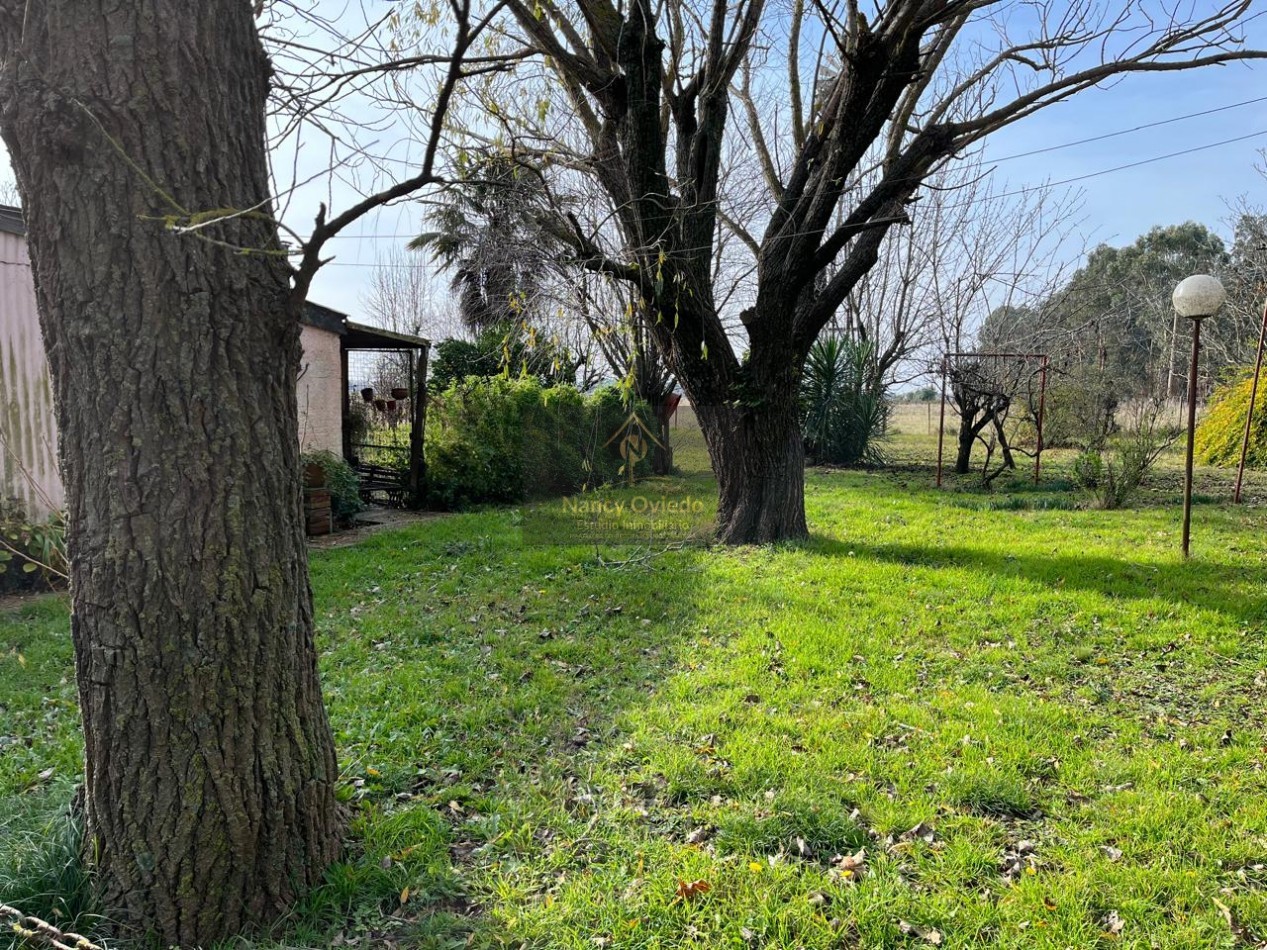 CAMPO DE POCO MAS DE 5 HECTAREAS EN MAR DEL PLATA VENDE, PERMUTA Y FINANCIA