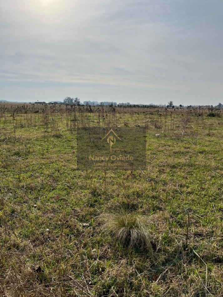 CAMPO DE POCO MAS DE 5 HECTAREAS EN MAR DEL PLATA VENDE, PERMUTA Y FINANCIA