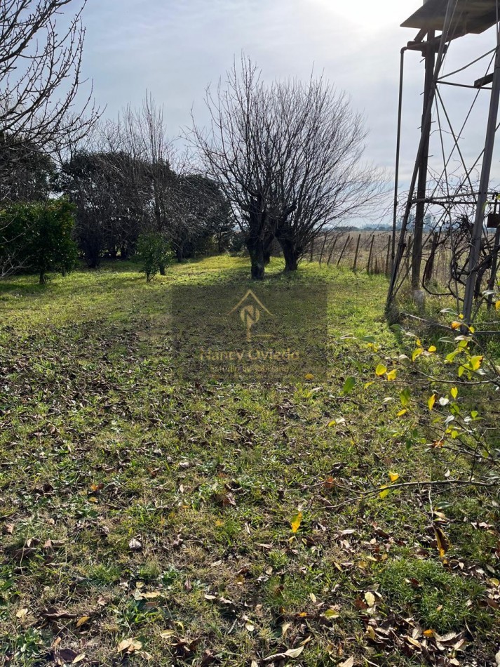 CAMPO DE POCO MAS DE 5 HECTAREAS EN MAR DEL PLATA VENDE, PERMUTA Y FINANCIA