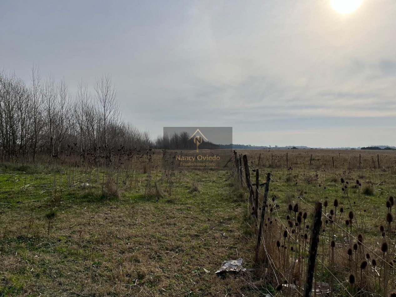 CAMPO DE POCO MAS DE 5 HECTAREAS EN MAR DEL PLATA VENDE, PERMUTA Y FINANCIA