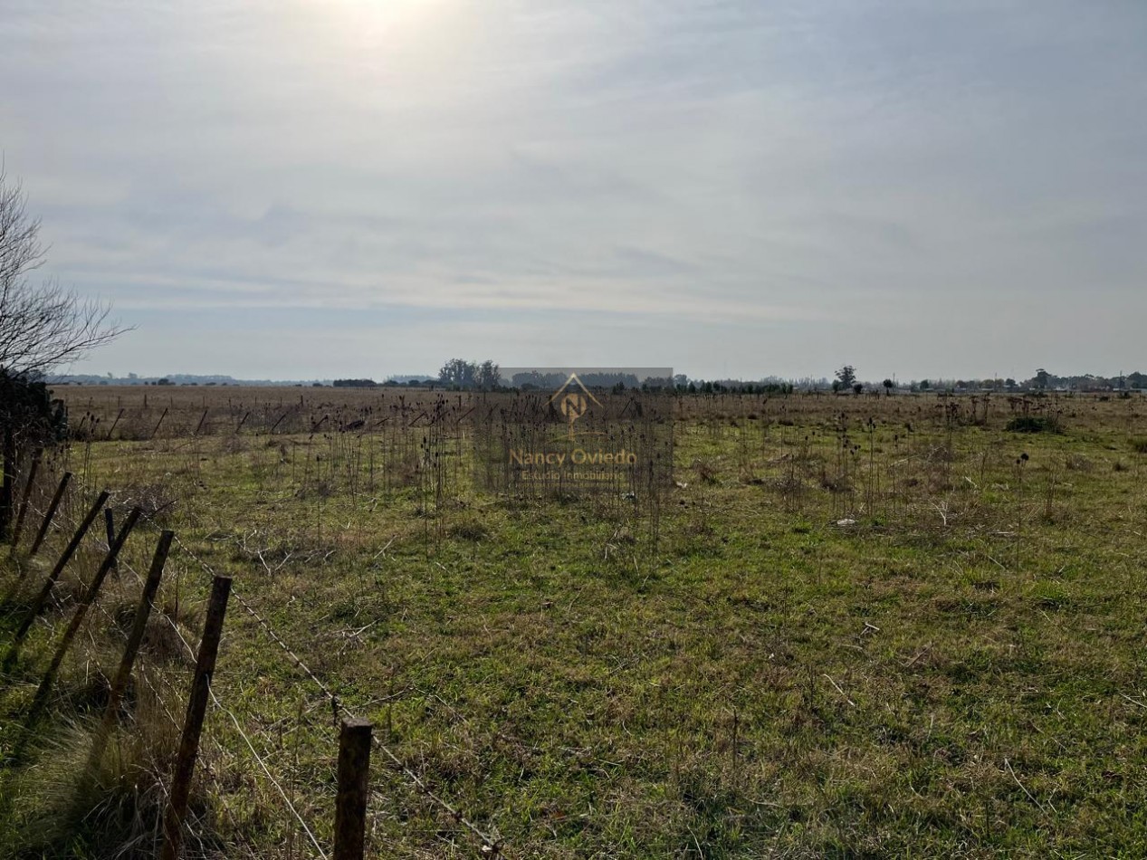CAMPO DE POCO MAS DE 5 HECTAREAS EN MAR DEL PLATA VENDE, PERMUTA Y FINANCIA