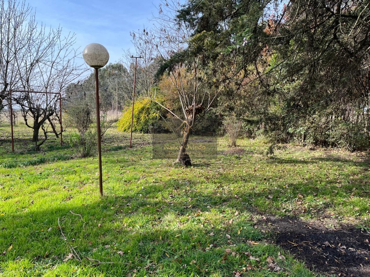 CAMPO DE POCO MAS DE 5 HECTAREAS EN MAR DEL PLATA VENDE, PERMUTA Y FINANCIA