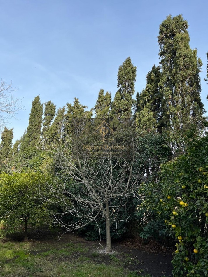 CAMPO DE POCO MAS DE 5 HECTAREAS EN MAR DEL PLATA VENDE, PERMUTA Y FINANCIA