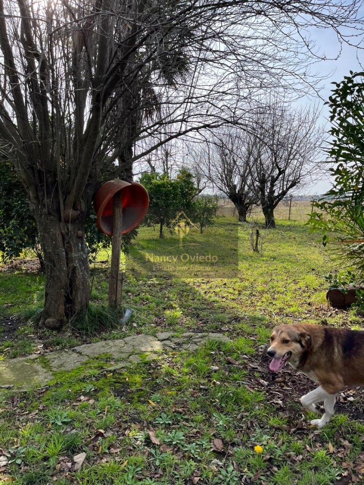 CAMPO DE POCO MAS DE 5 HECTAREAS EN MAR DEL PLATA VENDE, PERMUTA Y FINANCIA
