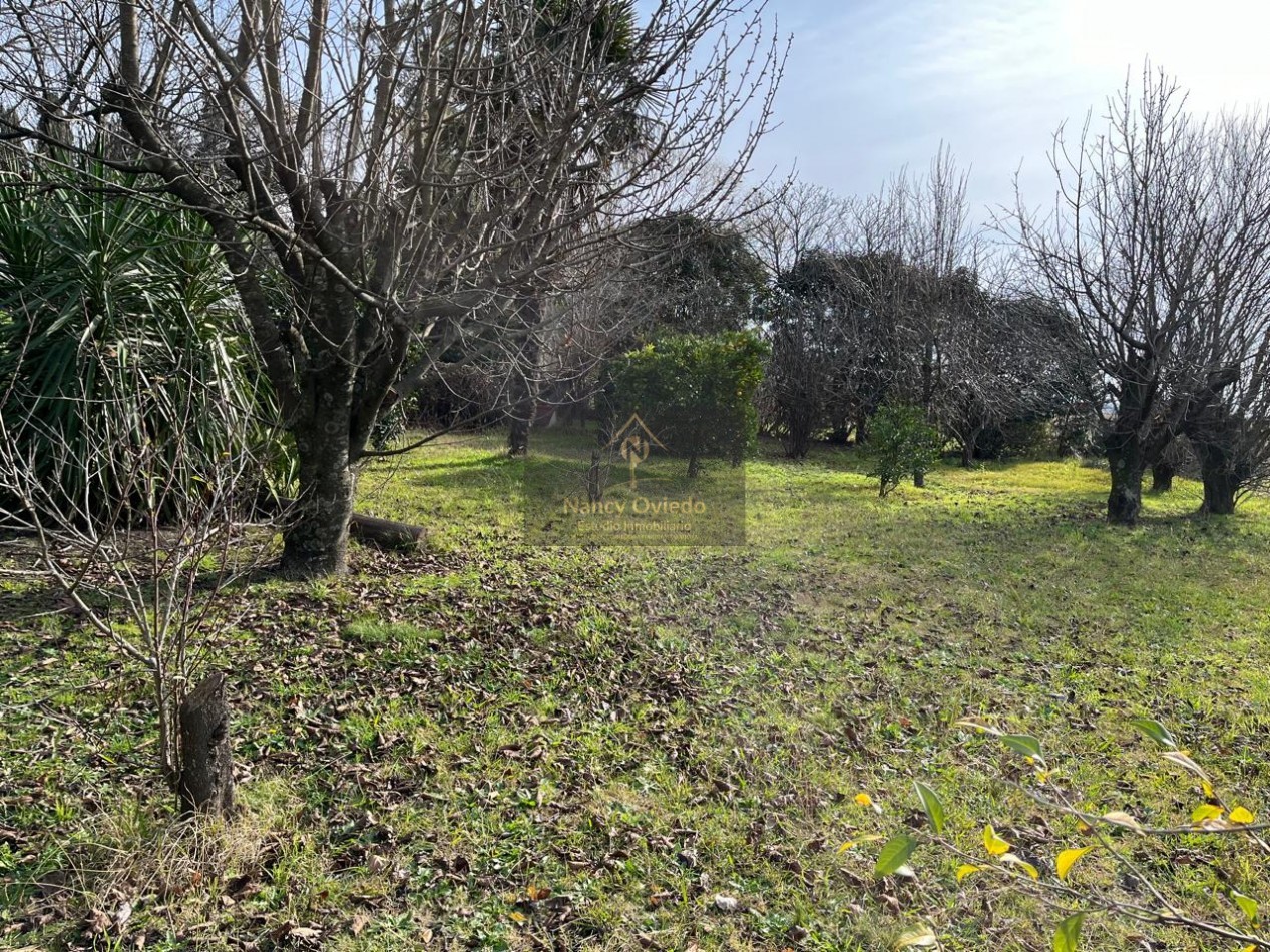 CAMPO DE POCO MAS DE 5 HECTAREAS EN MAR DEL PLATA VENDE, PERMUTA Y FINANCIA