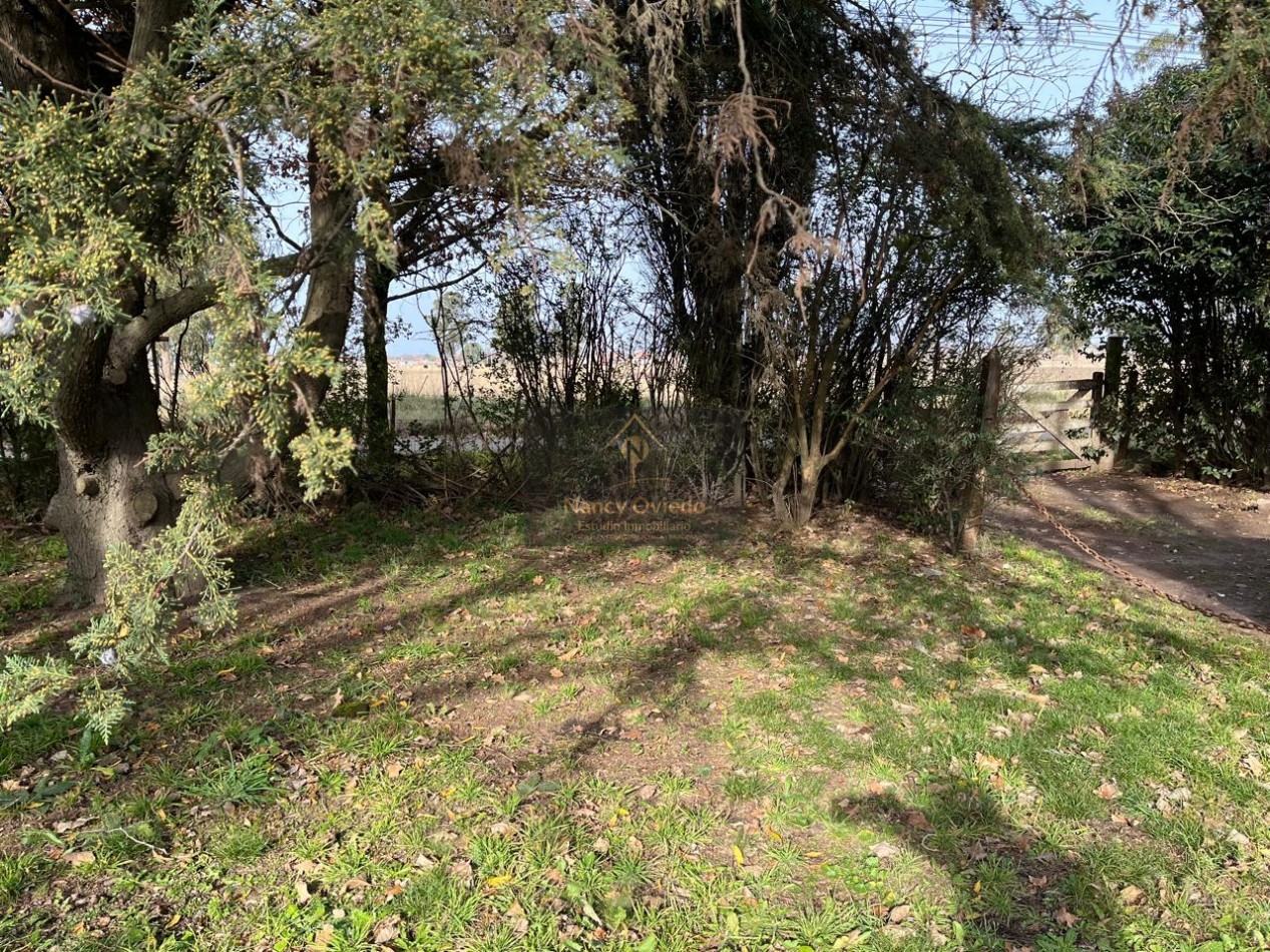 CAMPO DE POCO MAS DE 5 HECTAREAS EN MAR DEL PLATA VENDE, PERMUTA Y FINANCIA