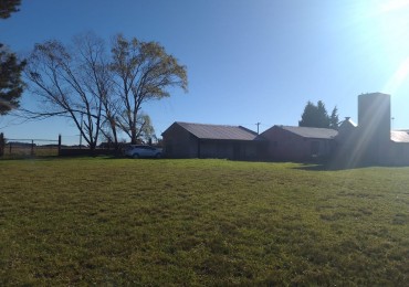 LOTE DE 2 HECTAREAS CON 2 GALPONES Y 3 CASAS EN LA GLORIA DE LA PELEGRINA
