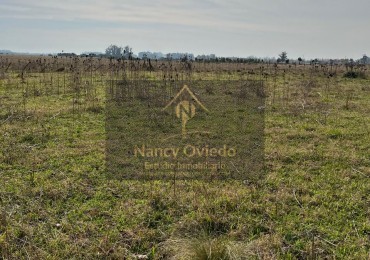 CAMPO DE POCO MAS DE 5 HECTAREAS EN MAR DEL PLATA VENDE, PERMUTA Y FINANCIA